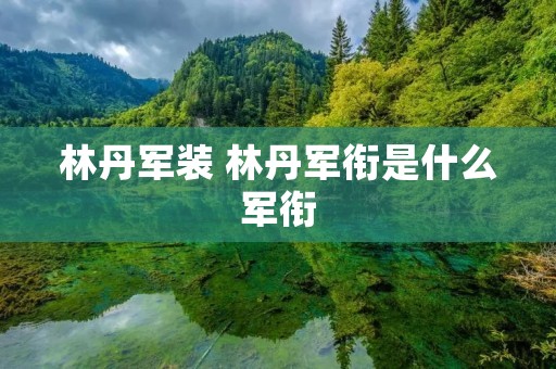林丹军装 林丹军衔是什么军衔