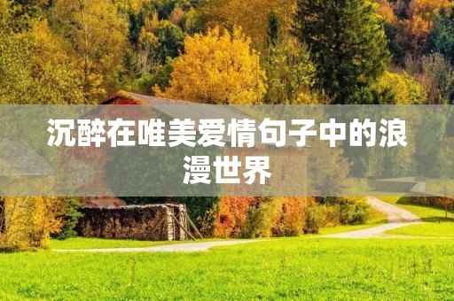 沉醉在唯美爱情句子中的浪漫世界