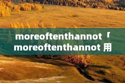 moreoftenthannot「moreoftenthannot 用法」