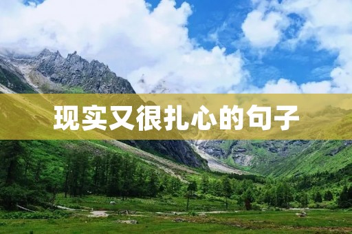 现实又很扎心的句子：揭示生活的残酷与无奈