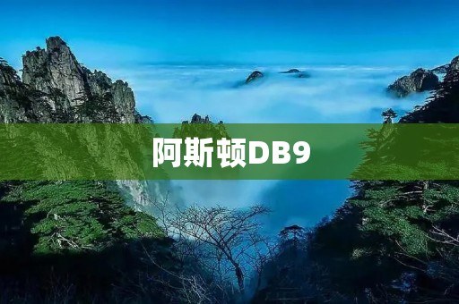 阿斯顿DB9:豪华运动座驾的代表 阿斯顿DB9:豪华运动座驾的代表