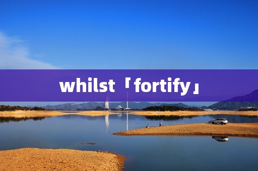 whilst「fortify」