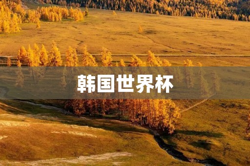 韩国世界杯:一个充满**与争议的足球盛宴 韩国世界杯:一个充满**与争议的足球盛宴