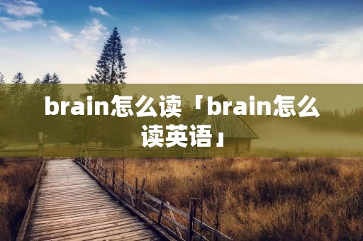 brain怎么读「brain怎么读英语」