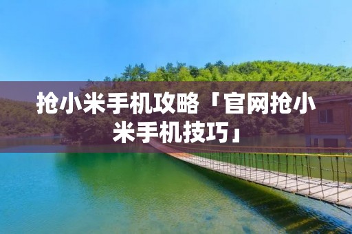 抢小米手机攻略「官网抢小米手机技巧」