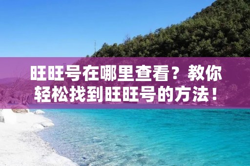 旺旺号在哪里查看？教你轻松找到旺旺号的方法！