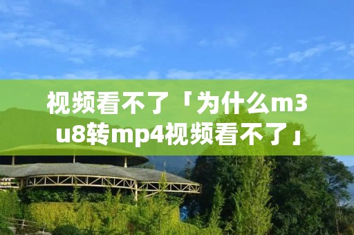 视频看不了「为什么m3u8转mp4视频看不了」