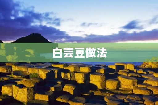 白芸豆做法:美味健康的佳肴 白芸豆做法:美味健康的佳肴
