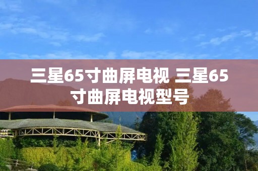 三星65寸曲屏电视 三星65寸曲屏电视型号