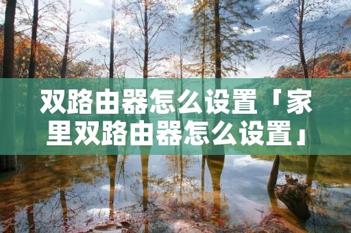 双路由器怎么设置「家里双路由器怎么设置」
