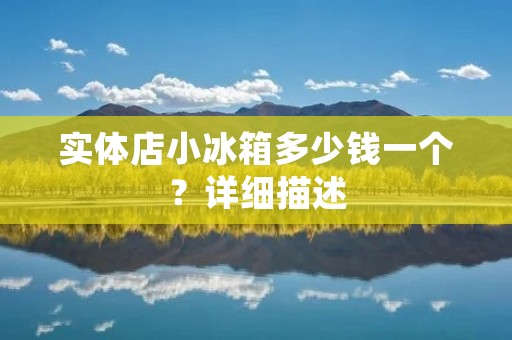实体店小冰箱多少钱一个?详细描述: 实体店小冰箱多少钱一个?详细描述:
