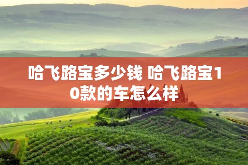 哈飞路宝多少钱 哈飞路宝10款的车怎么样 哈飞路宝多少钱 哈飞路宝10款的车怎么样