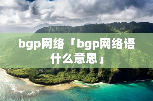 bgp网络「bgp网络语什么意思」