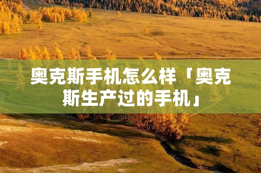 奥克斯手机怎么样「奥克斯生产过的手机」