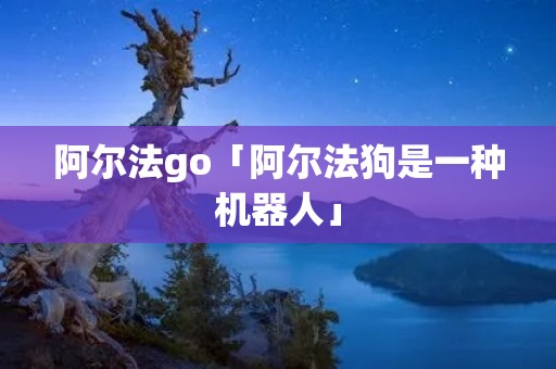 阿尔法go「阿尔法狗是一种机器人」