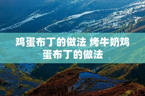 鸡蛋布丁的做法 烤牛奶鸡蛋布丁的做法