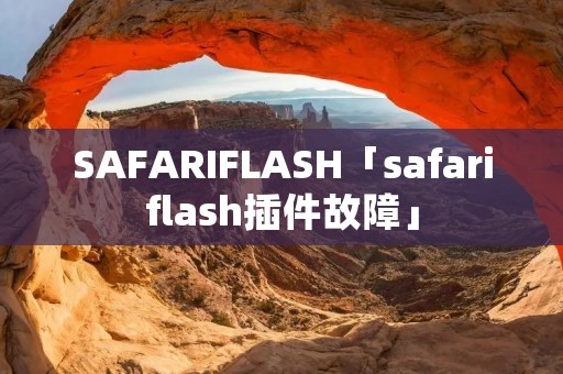 SAFARIFLASH「safariflash插件故障」