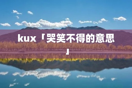 kux「哭笑不得的意思」