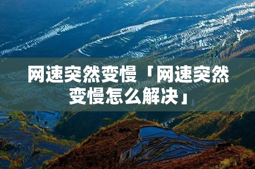 网速突然变慢「网速突然变慢怎么解决」
