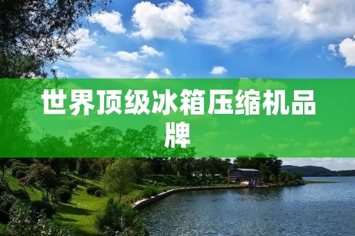 世界顶级冰箱压缩机品牌:为您打造高品质冷藏体验