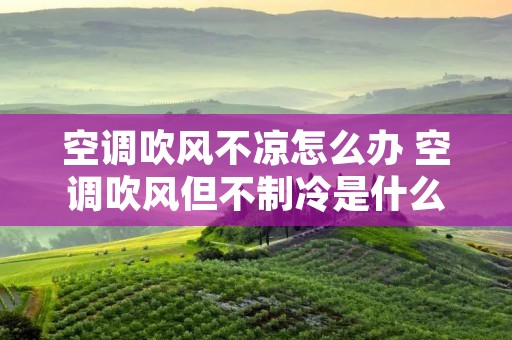 空调吹风不凉怎么办 空调吹风但不制冷是什么原因 空调吹风不凉怎么办 空调吹风但不制冷是什么原因