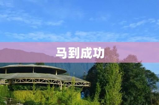 马到成功：探索马匹在人类历史中的重要角色及其成功之道