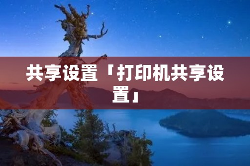 共享设置「打印机共享设置」 共享设置「打印机共享设置」