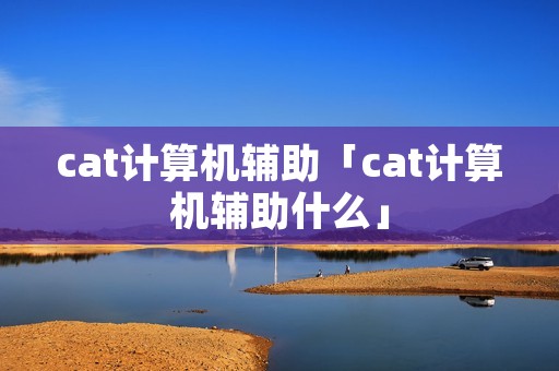 cat计算机辅助「cat计算机辅助什么」