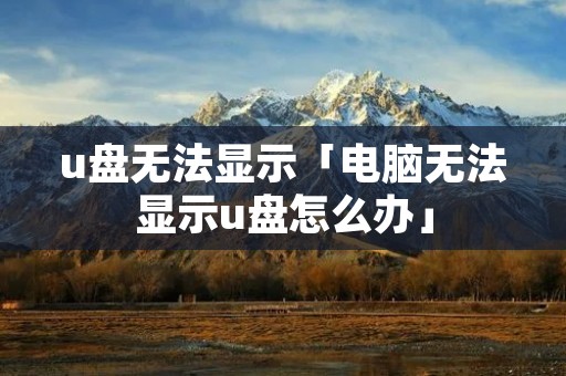 u盘无法显示「电脑无法显示u盘怎么办」