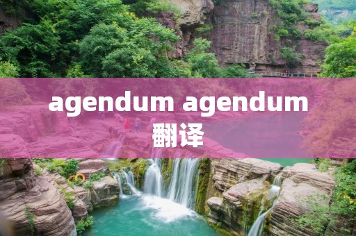 agendum agendum翻译