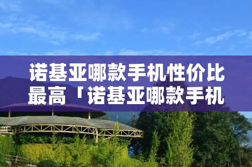 诺基亚哪款手机性价比最高「诺基亚哪款手机性价比最高又好用」
