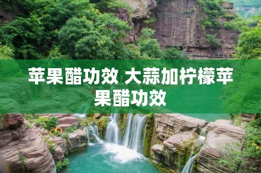 苹果醋功效 大蒜加柠檬苹果醋功效