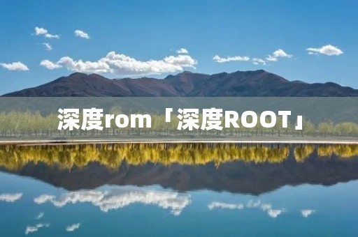 深度rom「深度ROOT」 深度rom「深度ROOT」