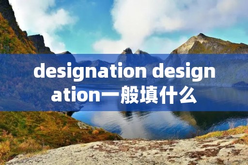 designation designation一般填什么