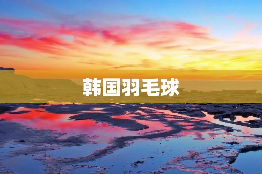 韩国羽毛球：亚洲羽坛的新巅峰