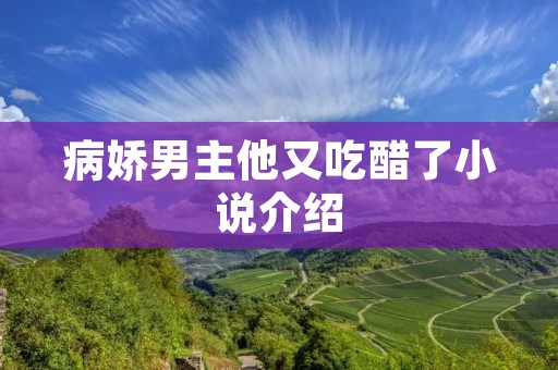 病娇男主他又吃醋了小说介绍