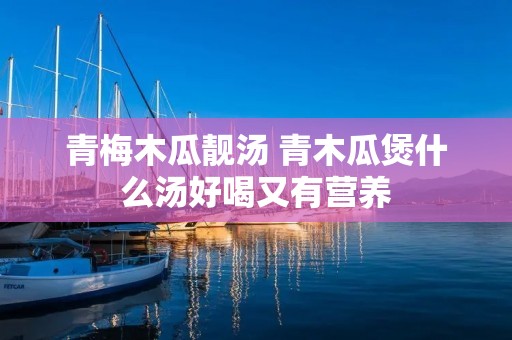 青梅木瓜靓汤 青木瓜煲什么汤好喝又有营养