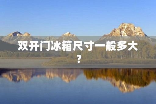 **门冰箱尺寸一般多大？
