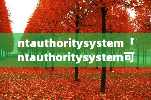 ntauthoritysystem「ntauthoritysystem可以删掉吗?」