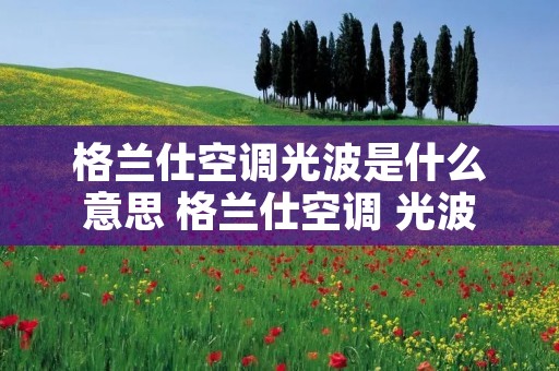 格兰仕空调光波是什么意思 格兰仕空调 光波 格兰仕空调光波是什么意思 格兰仕空调 光波