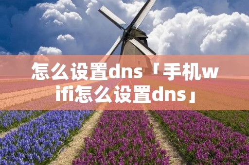 怎么设置dns「手机wifi怎么设置dns」