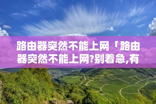 路由器突然不能上网「路由器突然不能上网?别着急,有可能你犯了低级错误」
