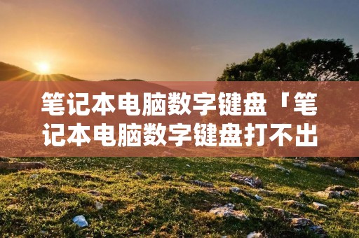 笔记本电脑数字键盘「笔记本电脑数字键盘打不出数字怎么解锁」