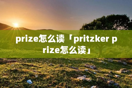 prize怎么读「pritzker prize怎么读」