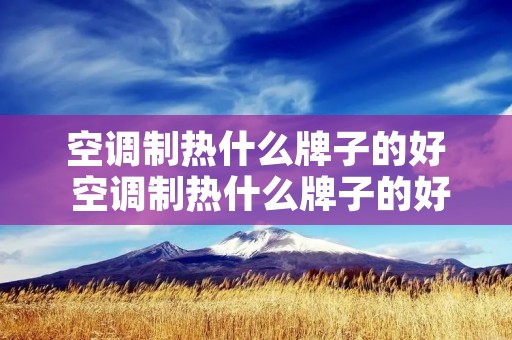 空调制热什么牌子的好 空调制热什么牌子的好用