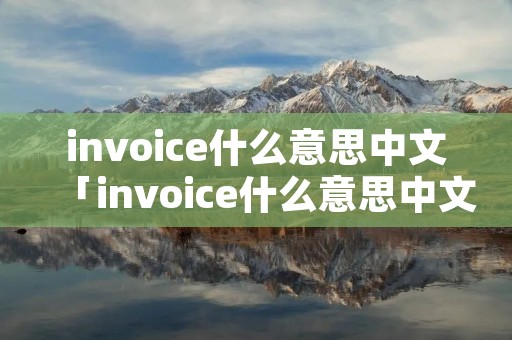 invoice什么意思中文「invoice什么意思中文翻译成」
