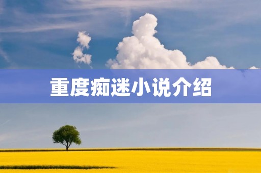 重度痴迷小说介绍