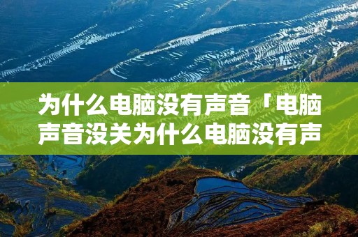 为什么电脑没有声音「电脑声音没关为什么电脑没有声音」 为什么电脑没有声音「电脑声音没关为什么电脑没有声音」