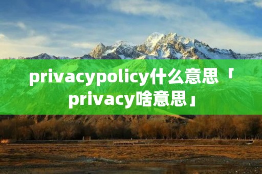 privacypolicy什么意思「privacy啥意思」