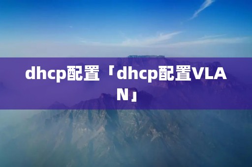dhcp配置「dhcp配置VLAN」